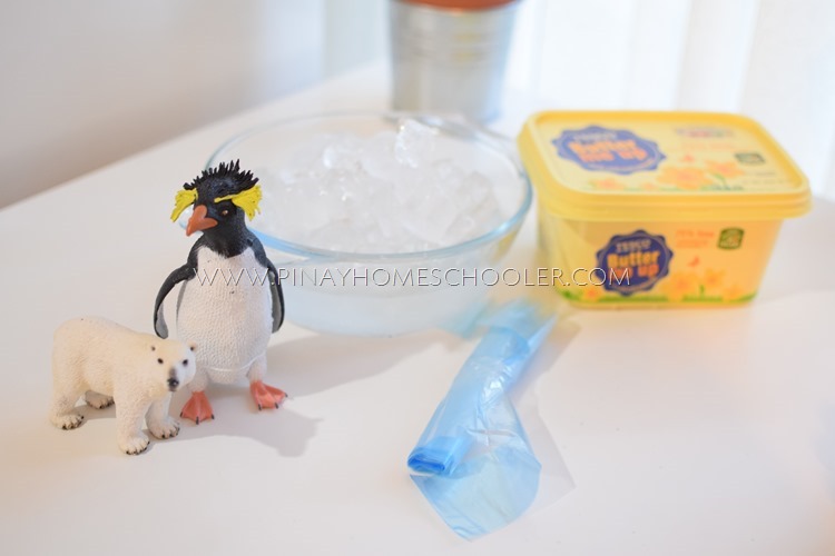 Materials for How Polar Animals Keep Warm Experiment