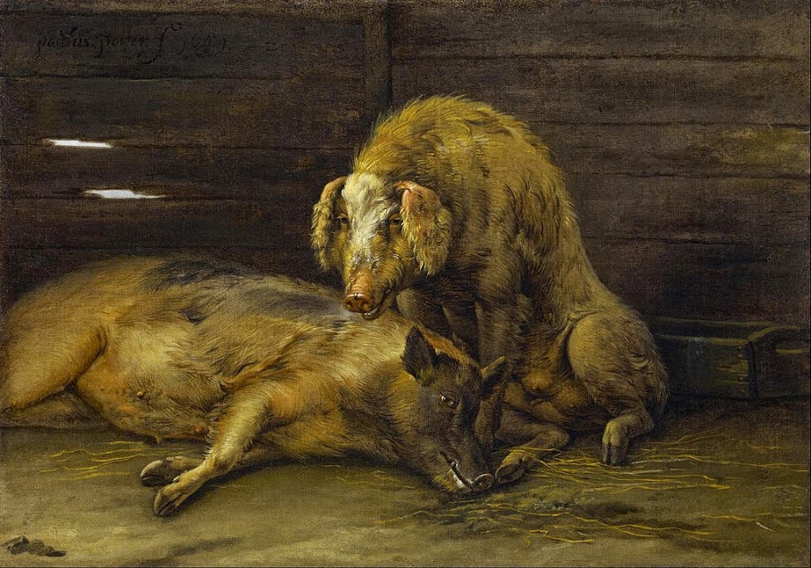 Paulus Potter - Two Pigs in a Sty - Google Art Project.