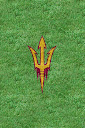 Arizona%252520State%252520Sun%252520Devils%252520Grass.jpg