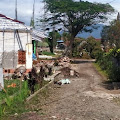 Warga Protes,Pembangunan Villa di Desa Gadog Diduga Tak Mengantongi Izin 