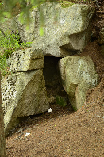 Татры, июнь 2015. с собакой