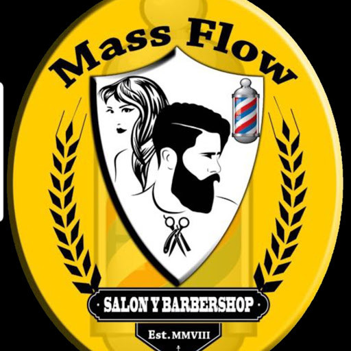 Mass Flow Salon logo