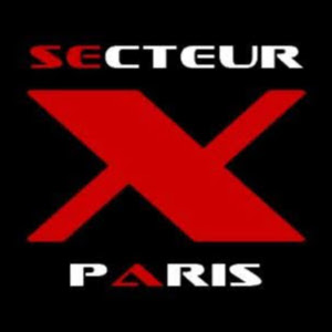 Le Secteur X logo