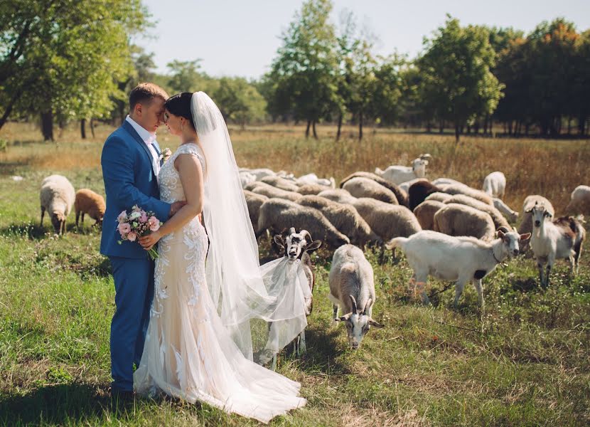 Fotógrafo de bodas David Tadevosyan (david85). Foto del 19 de septiembre 2017