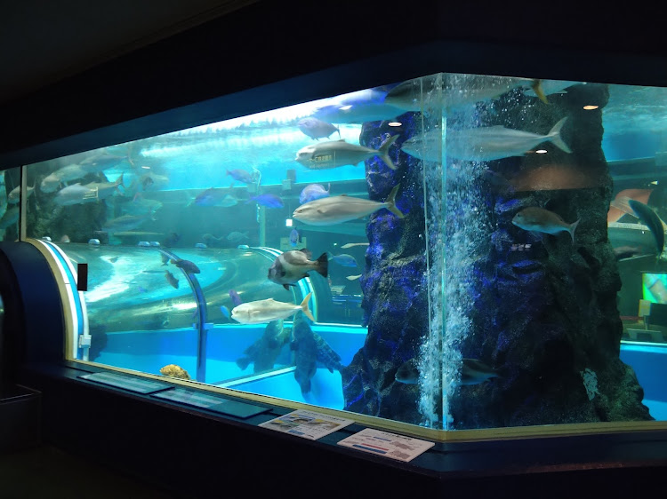 N-ONEの魚津水族館・ミラージュランド・P.A.WORKS・白い砂のアクアトープ・がまがま水族館に関するカスタム事例の投稿画像2枚目