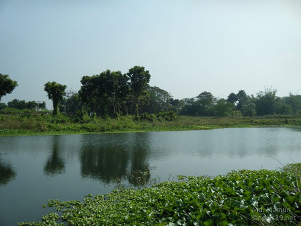 খাল