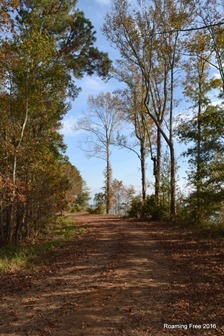 Exploring the backroads