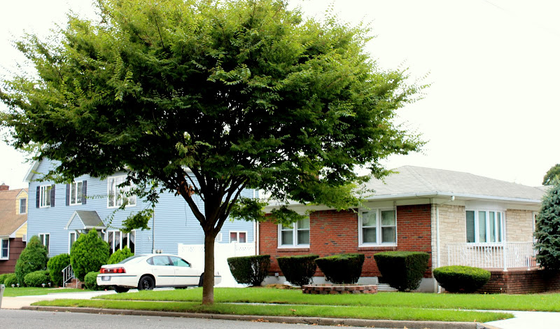 Homes on Buel Ave. Dongan Hills Staten Island