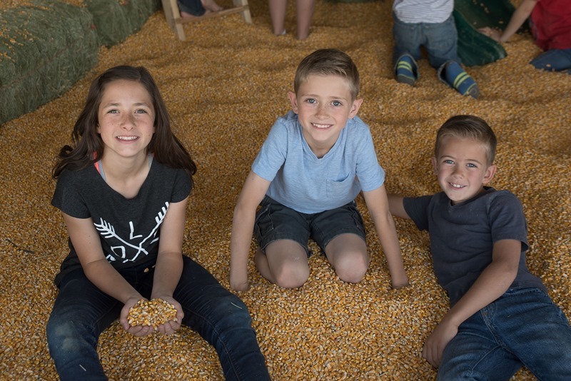 Canon City Pumpkin Patch-23