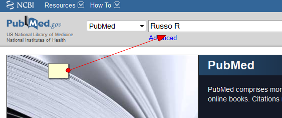 Screenshot of PubMed's search box with an Russo R (author) as a sample search.