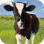 Cover Image of Descargar Sonidos de vaca 2.0 APK