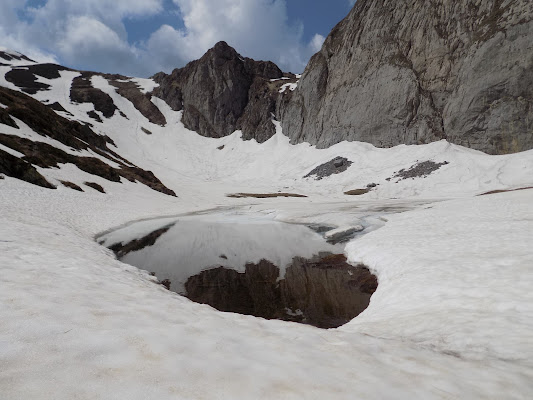 Dove regna la natura di Deni