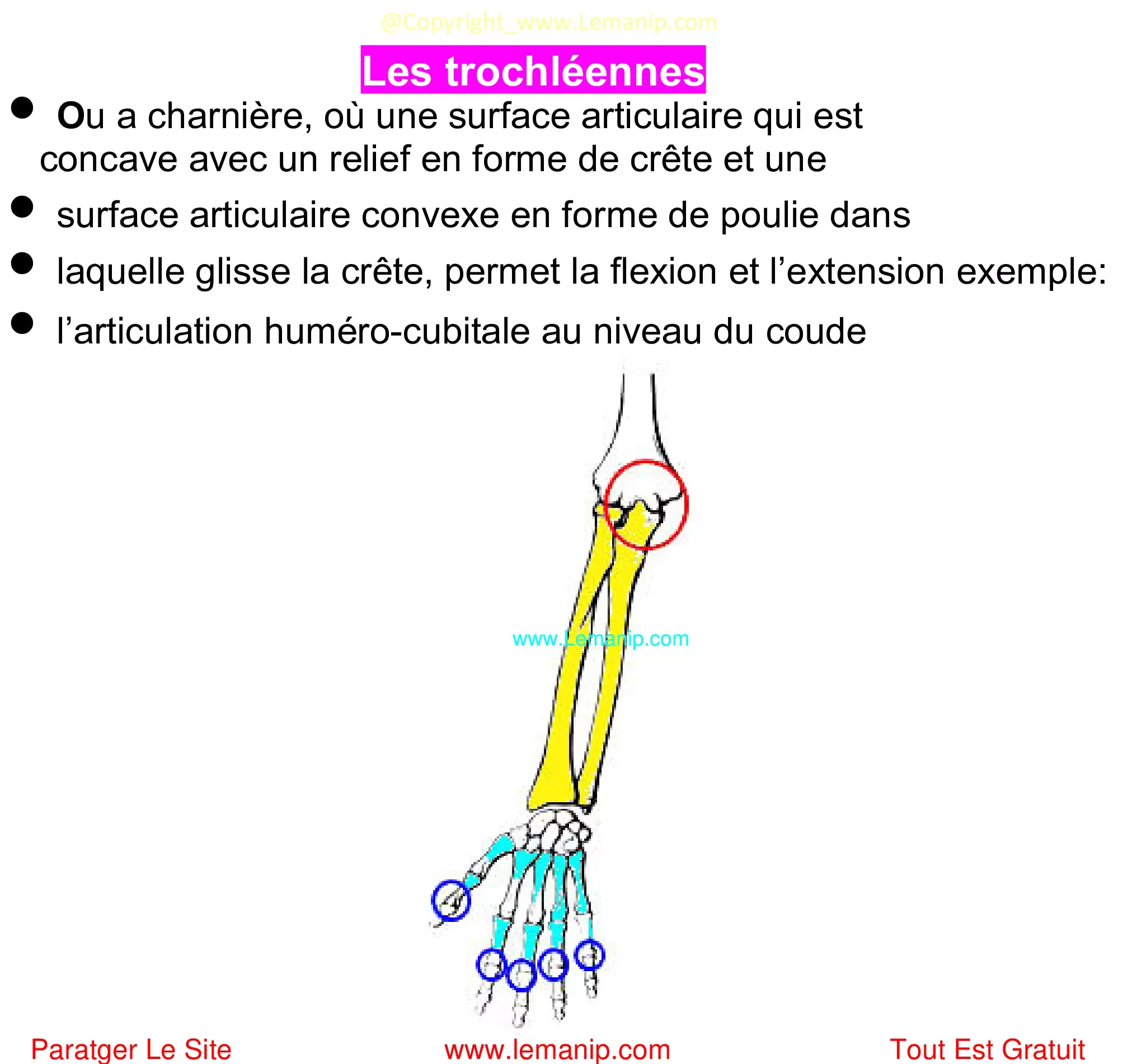 trochléennes