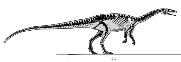 파일:external/www.paleofile.com/Gojirasaurus%20s.jpg