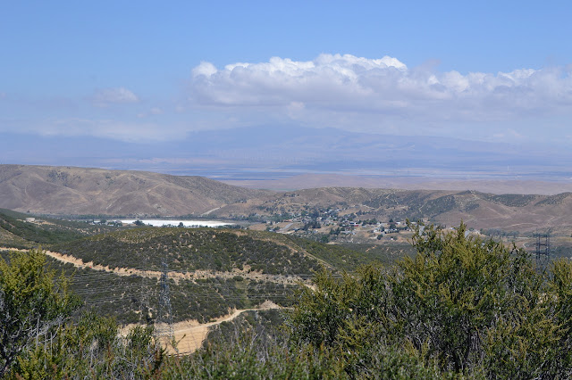 windmills in the distance