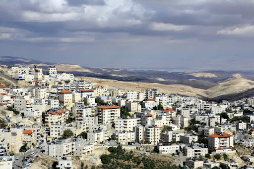 Photos from Arab Jerusalem (a very special waves) صور من القدس العربية ( خاص جدا أمواج ) IMG_7713