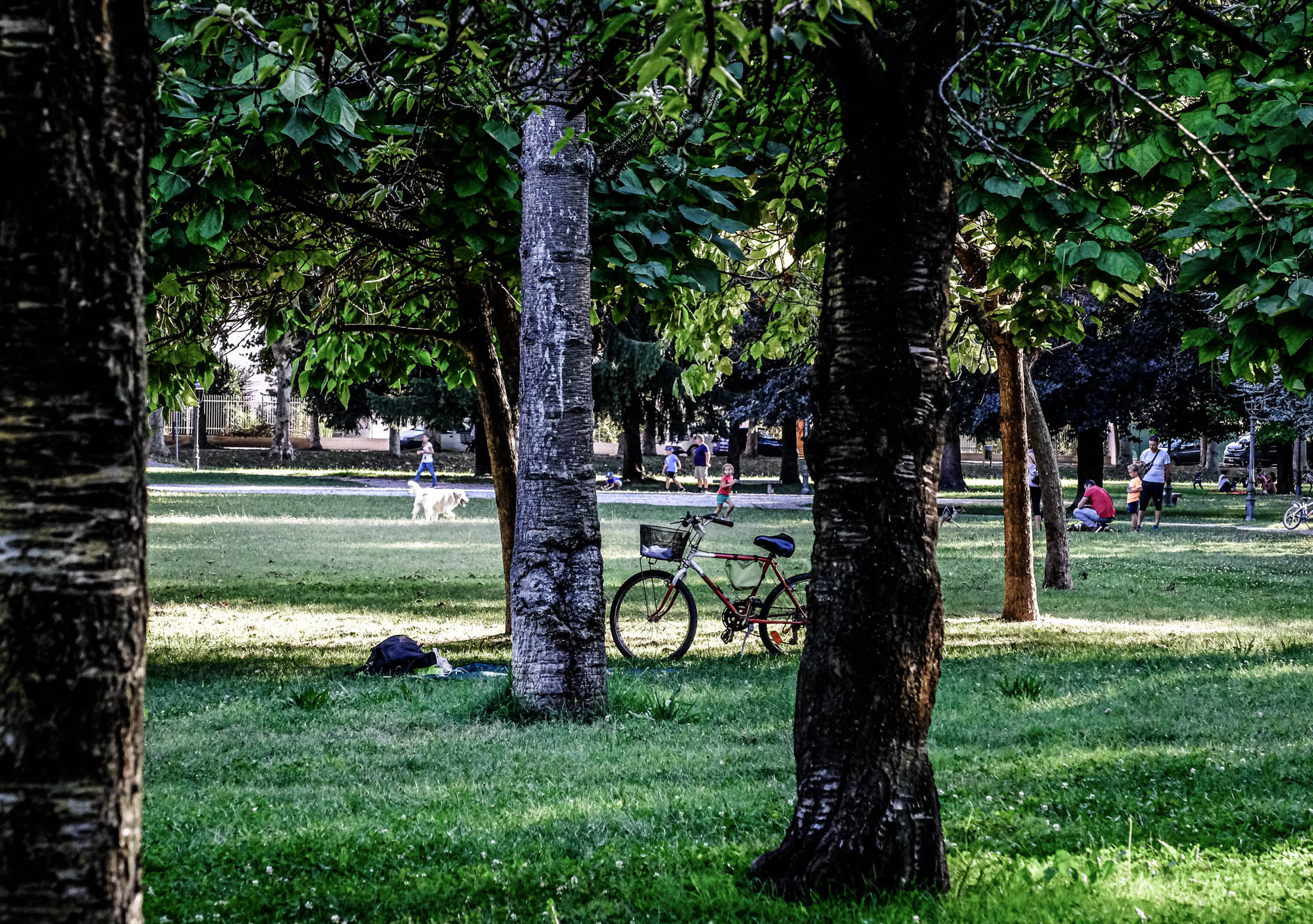 Parco di Savigliano Cn di Ro51