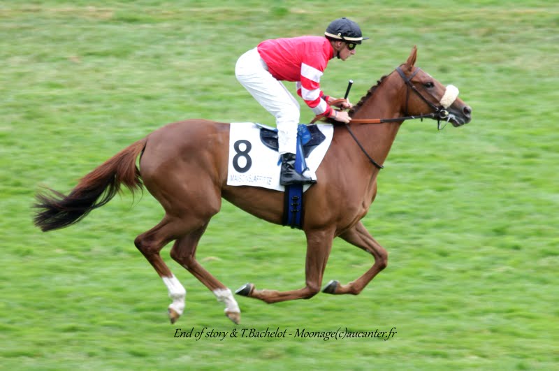 Photos Maisons-Laffitte 5-07-2015 IMG_2348