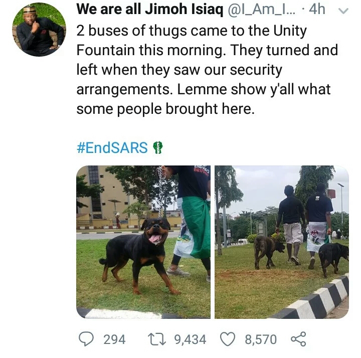 #EndSARS: Thugs Run Away On Sighting Protesters With Fierce Dogs