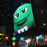 broadway in new york city in New York City, United States 