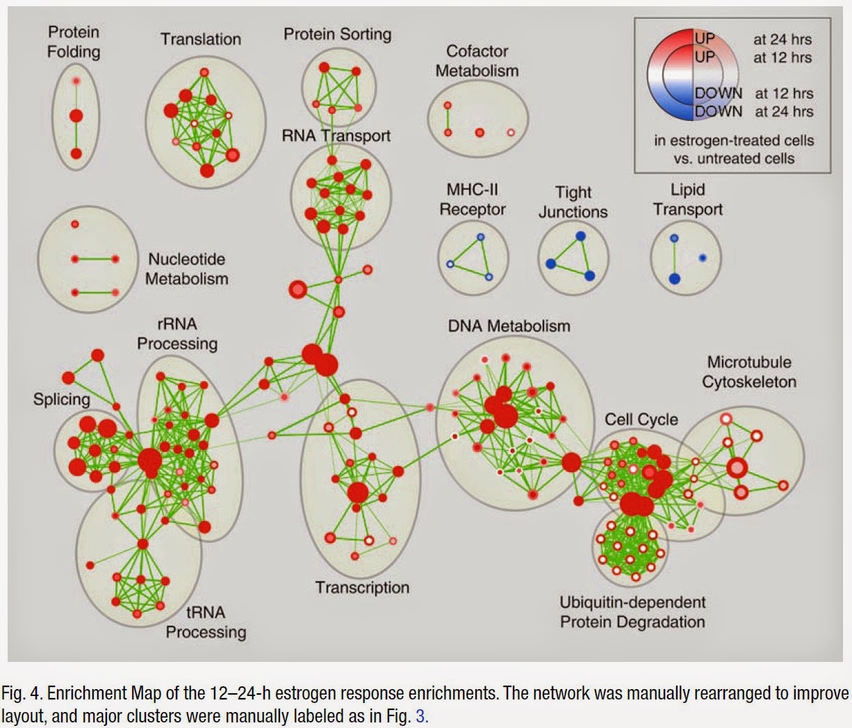 advanced merge cytoscape