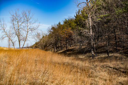 Hiking Area «Cowles Bog Trail», reviews and photos, 1618 N Mineral Springs Rd, Dune Acres, IN 46304, USA