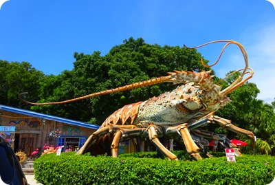largest lobster