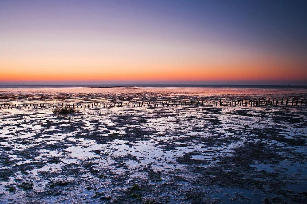 wadden-sea-hiking-6