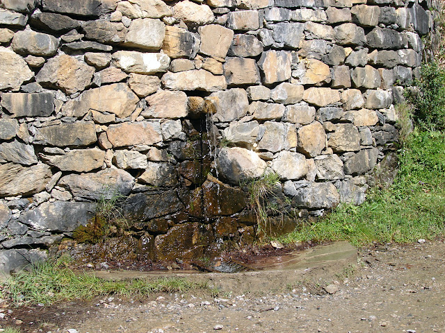  senderismo - Valle de Pineta - Cascada Cinca - Cascada de La Larri - Llanos de La Larri