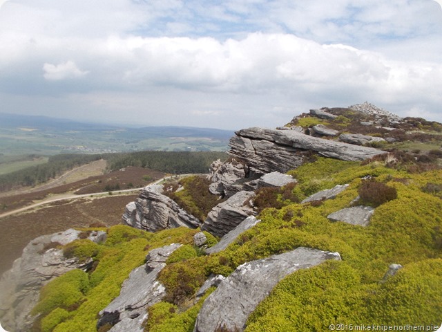 simonside reccy 010