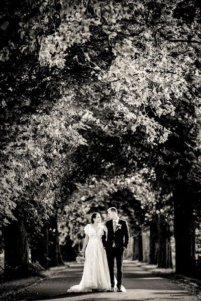 Fotografo di matrimoni Dávid Moór (moordavid). Foto del 7 maggio