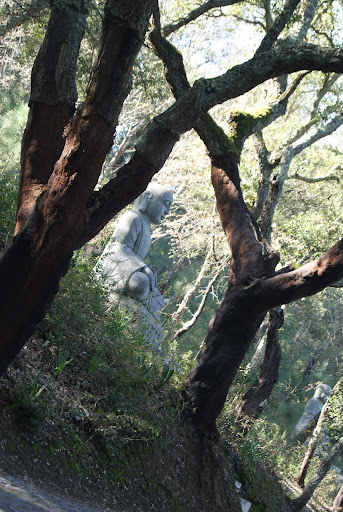 Crónica do Passeio ao Bombarral Dia 9 de Fevereiro- Jardim Buddha Eden  DSC00137