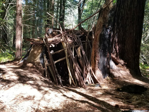 Nature Preserve «LandPaths Grove of Old Trees», reviews and photos, 17599 Fitzpatrick Ln, Occidental, CA 95465, USA