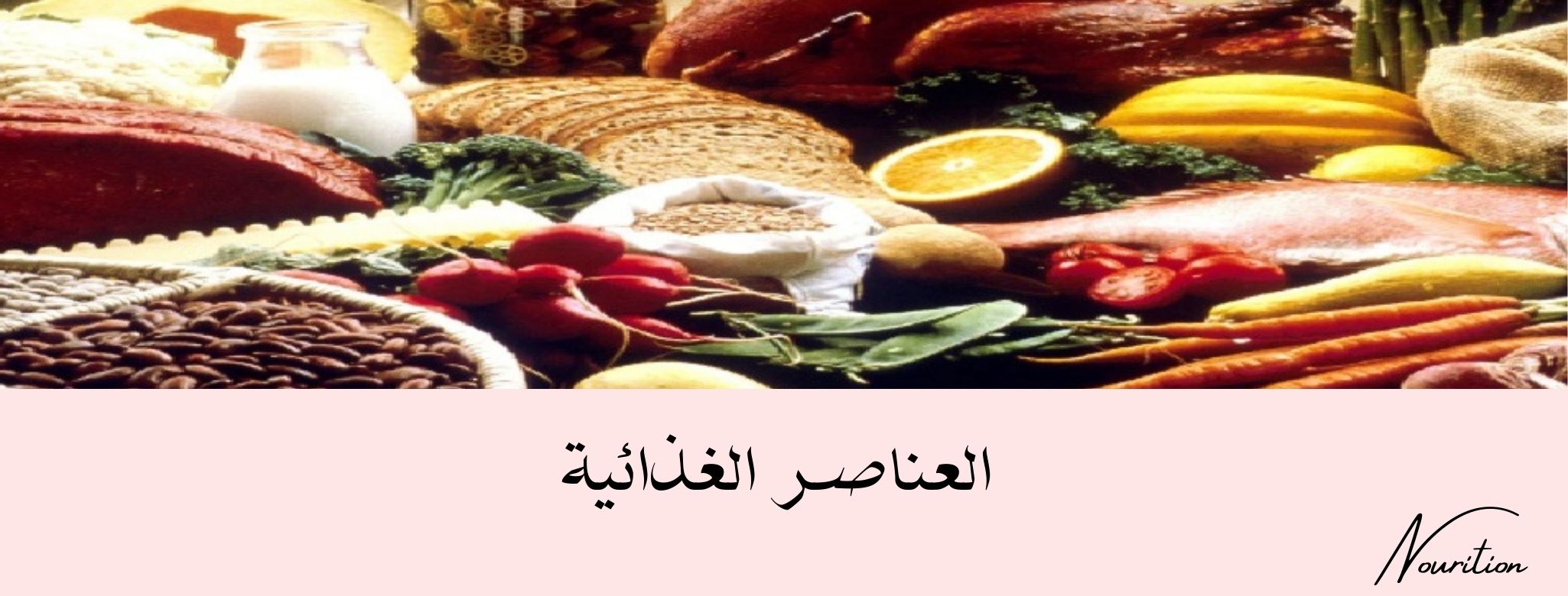 الغذائية العناصر أنواع الأغذية