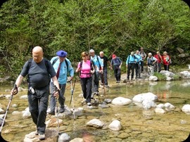 Colla dels Bufets d'Olot