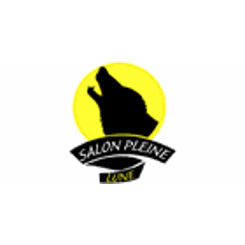 Salon Pleine Lune logo