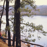  – Mary Oliver looks out at her beloved Blackwater Pond. From At Blackwater Pond (Audio, Beacon Press, 2006).