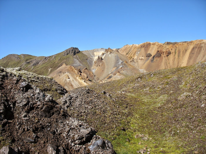 IMG_8555.JPG