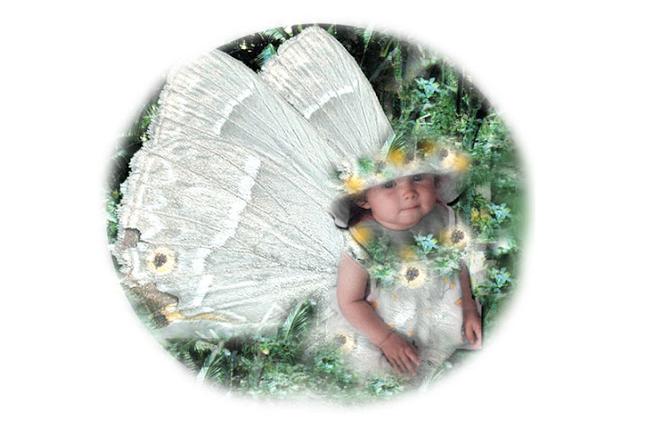 2004 Garden Fairy