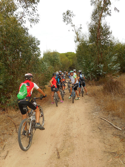 Rutas en bici. - Página 38 Tostada%2B041