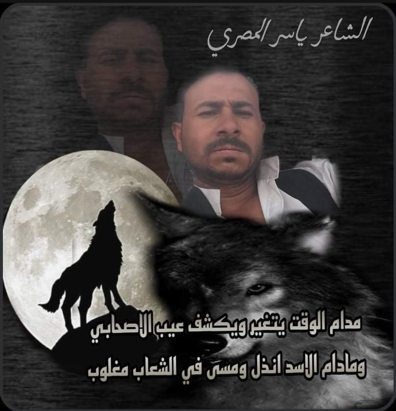 صورة