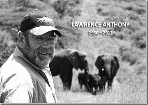 lawrence anthony with elephants