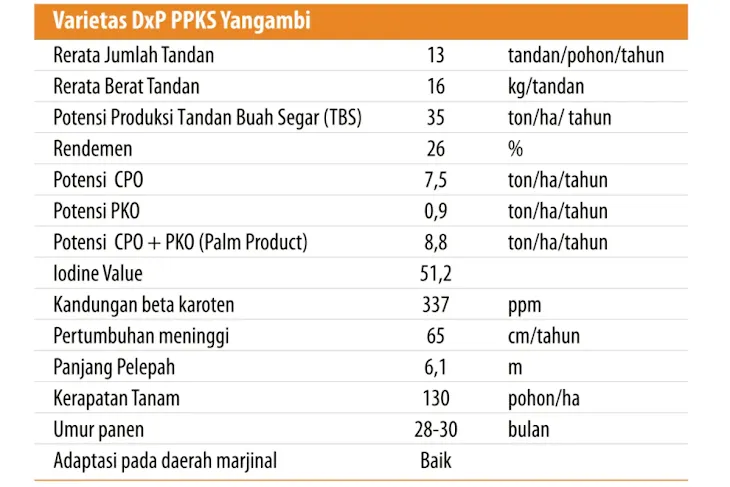 dxp ppks yangambi tabel