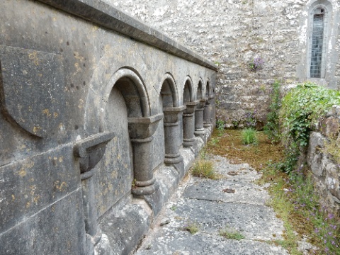 DSCN5544.jpg DSCN5544