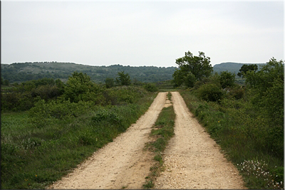 Pista entre tierra de labor