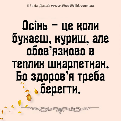 Осінній гумор, приколи і анекдоти та картинки