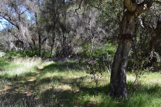 old trail sign