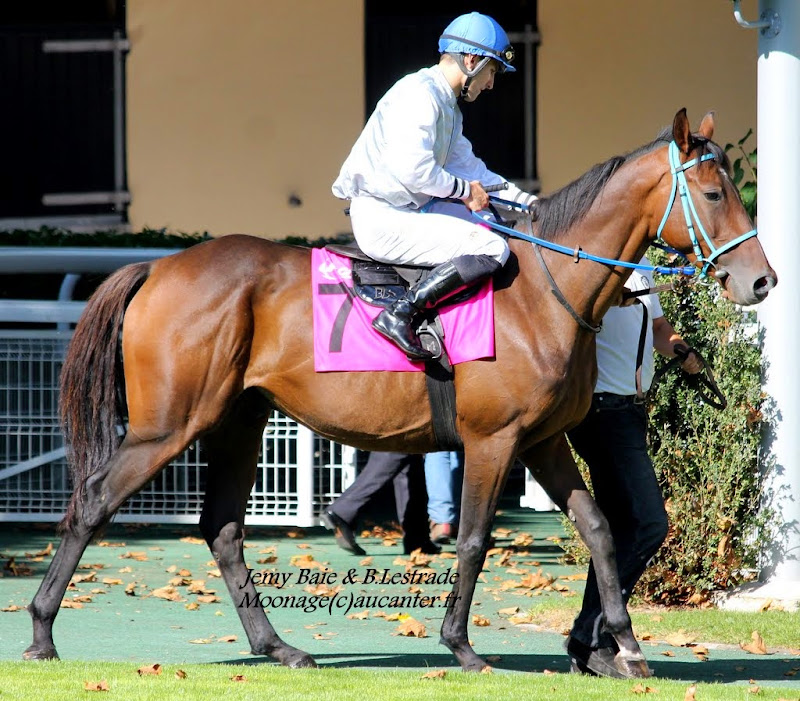 Photos Auteuil le 27-09-2014 IMG_4431