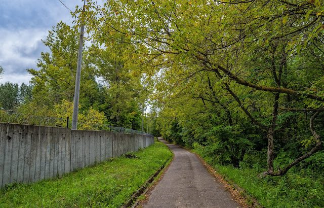 дорожка вдоль бетонного забора