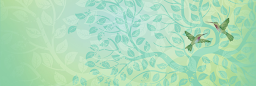 Profile cover photo